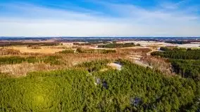 Przedwiośnie 2021 nad jeziorem Białym - zdjęcie 23