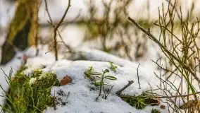 Przedwiośnie 2021 nad jeziorem Białym - zdjęcie 14