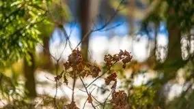 Przedwiośnie 2021 nad jeziorem Białym - zdjęcie 15