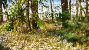 Przedwiośnie 2021 nad jeziorem Białym - zdjęcie 7