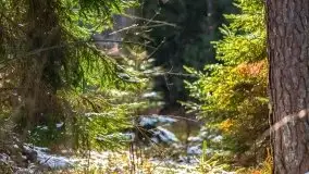 Przedwiośnie 2021 nad jeziorem Białym - zdjęcie 36