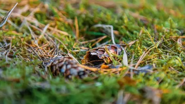 Efekt halo - zachód słońca nad jeziorem Dargin - zdjęcie 6