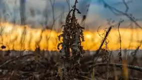 Efekt halo - zachód słońca nad jeziorem Dargin - zdjęcie 66