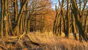 Efekt halo - zachód słońca nad jeziorem Dargin - zdjęcie 57