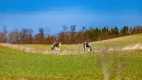 Wiosna w rezerwacie przyrody Borki, marzec 2021 - zdjęcie 9