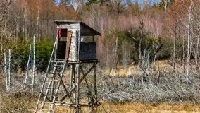 Wiosna w rezerwacie przyrody Borki, marzec 2021 - zdjęcie 11