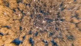 Zachód słońca nad jeziorem Gołdopiwo, od strony Przerwanek - zdjęcie 15