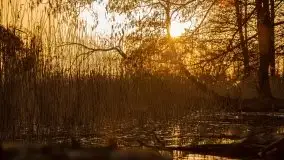 Zachód słońca nad jeziorem Gołdopiwo, od strony Przerwanek - zdjęcie 27