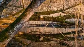 Zachód słońca nad jeziorem Gołdopiwo, od strony Przerwanek - zdjęcie 43