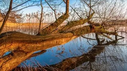 Zachód słońca nad jeziorem Gołdopiwo, od strony Przerwanek