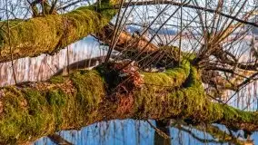 Zachód słońca nad jeziorem Gołdopiwo, od strony Przerwanek - zdjęcie 13