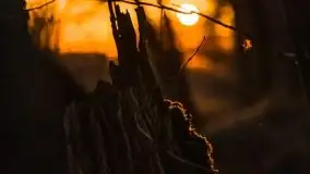 Zachód słońca nad jeziorem Gołdopiwo, od strony Przerwanek - zdjęcie 29