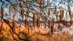 Zachód słońca nad jeziorem Gołdopiwo, od strony Przerwanek - zdjęcie 39