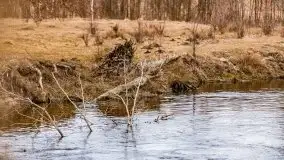 Przeprawa na Mazury, rzeki Narew i Pisa - zdjęcie 81