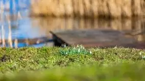 Narodziny nowego dnia w Wydminach, kwiecień 2021 - zdjęcie 36