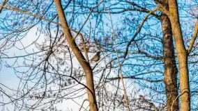 Narodziny nowego dnia w Wydminach, kwiecień 2021 - zdjęcie 56