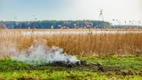 Wiosenny las przy jeziorze Gołdopiwo - zdjęcie 18