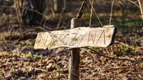 Wiosenny las przy jeziorze Gołdopiwo - zdjęcie 22