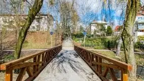 Szukaliśmy oznak wiosny w Olecku - zdjęcie 15