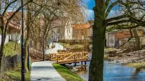 Szukaliśmy oznak wiosny w Olecku - zdjęcie 21