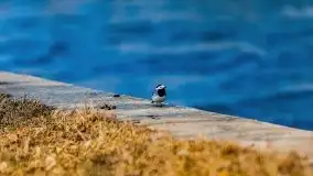 Śluza Karwik na początku wiosny 2021 - zdjęcie 4