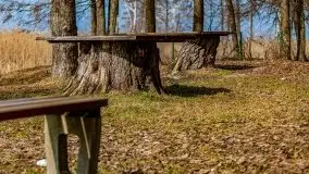 Śluza Karwik na początku wiosny 2021 - zdjęcie 18