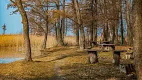 Śluza Karwik na początku wiosny 2021 - zdjęcie 6