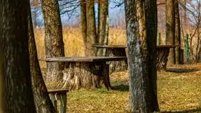 Śluza Karwik na początku wiosny 2021 - zdjęcie 7