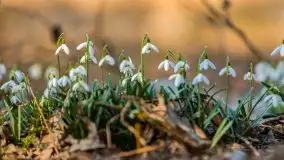 Przedwiośnie przy rzece Białoławka, marzec 2021 - zdjęcie 14