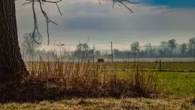 Kwietniowy wschód słońca nad jeziorem Kruklin - zdjęcie 28