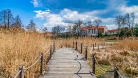 Kwietniowy i wiosenny Ryn 2021 - zdjęcie 37