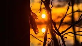 Wiosenny wschód słońca nad jeziorem Stręgiel - zdjęcie 36