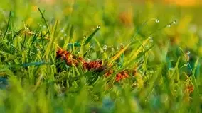 Wiosenny wschód słońca nad jeziorem Stręgiel - zdjęcie 27