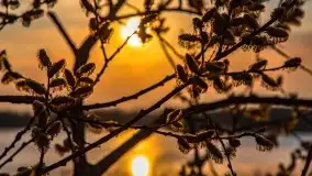 Wiosenny wschód słońca nad jeziorem Pozezdrze - zdjęcie 5