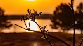 Wiosenny wschód słońca nad jeziorem Pozezdrze - zdjęcie 30