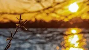 Kwietniowy zachód słońca w Mrągowie - zdjęcie 49