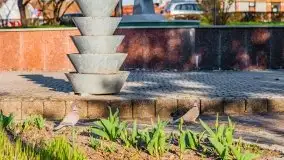 Mrągowo w wiosennym słońcu - zdjęcie 57