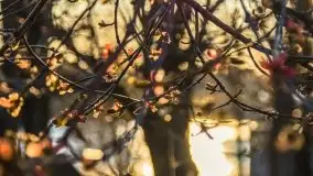 Mrągowo w wiosennym słońcu - zdjęcie 60