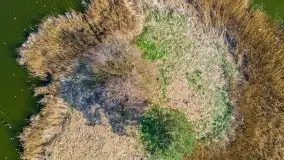 Piecki, ścieżka edukacyjna wokół stawu - zdjęcie 14