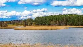 Piecki, ścieżka edukacyjna wokół stawu - zdjęcie 61