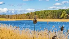 Piecki, ścieżka edukacyjna wokół stawu - zdjęcie 12