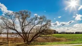 Piecki, ścieżka edukacyjna wokół stawu - zdjęcie 37