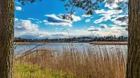 Piecki, ścieżka edukacyjna wokół stawu - zdjęcie 77