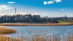 Piecki, ścieżka edukacyjna wokół stawu - zdjęcie 75