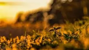 Zachód słońca nad jeziorem Wojnowo - zdjęcie 20