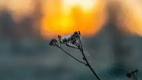 Majowy wschód słońca nad jeziorem Wojnowo - zdjęcie 44