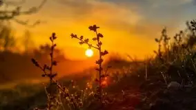 Majowy wschód słońca nad jeziorem Wojnowo - zdjęcie 53