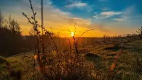 Majowy wschód słońca nad jeziorem Wojnowo - zdjęcie 36