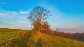 Majowy wschód słońca nad jeziorem Wojnowo - zdjęcie 24