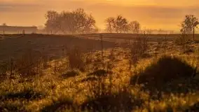 Majowy wschód słońca nad jeziorem Wojnowo - zdjęcie 43